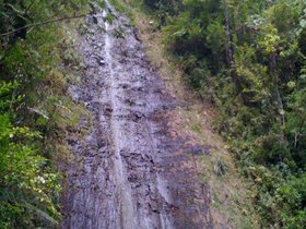 Manoa Falls, HI.jpg